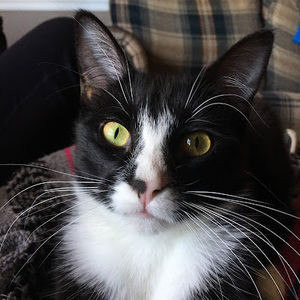 Meet your Posher, Kylie